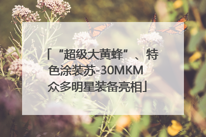 “超级大黄蜂”、特色涂装苏-30MKM 众多明星装备亮相