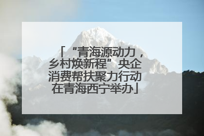 “青海源动力，乡村焕新程”央企消费帮扶聚力行动在青海西宁举办