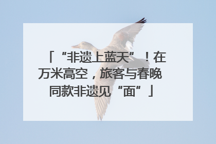 “非遗上蓝天”！在万米高空，旅客与春晚同款非遗见“面”