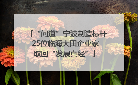 “问道”宁波制造标杆 25位临海大田企业家取回“发展真经”