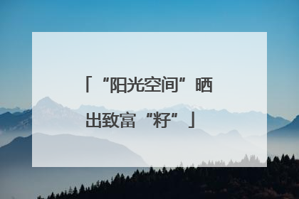 “阳光空间”晒出致富“籽”