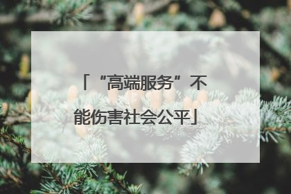 “高端服务”不能伤害社会公平