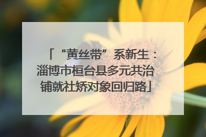 “黄丝带”系新生：淄博市桓台县多元共治铺就社矫对象回归路