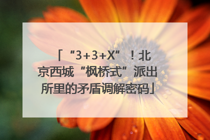 “3+3+X”！北京西城“枫桥式”派出所里的矛盾调解密码