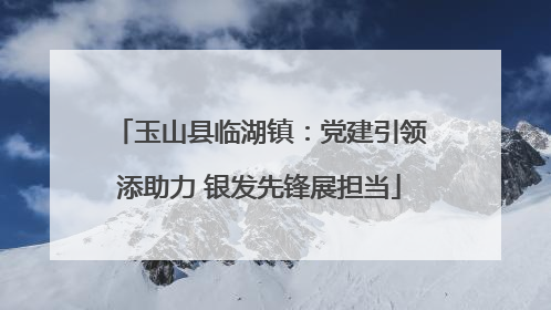 玉山县临湖镇：党建引领添助力 银发先锋展担当