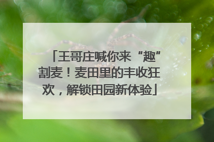 王哥庄喊你来“趣”割麦！麦田里的丰收狂欢，解锁田园新体验