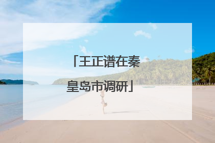 王正谱在秦皇岛市调研