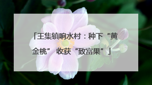 王集镇响水村：种下“黄金桃” 收获“致富果”