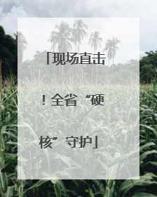 现场直击！全省“硬核”守护