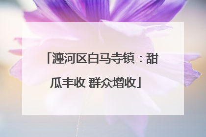 瀍河区白马寺镇：甜瓜丰收 群众增收