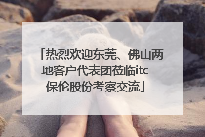 热烈欢迎东莞、佛山两地客户代表团莅临itc保伦股份考察交流