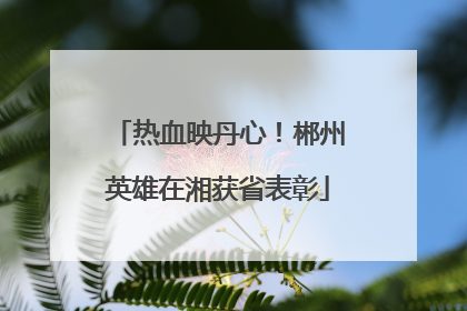 热血映丹心！郴州英雄在湘获省表彰