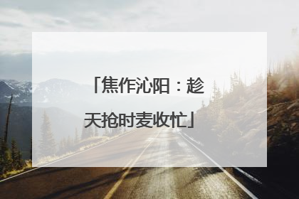焦作沁阳：趁天抢时麦收忙