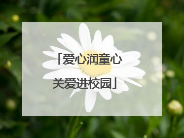 爱心润童心 关爱进校园