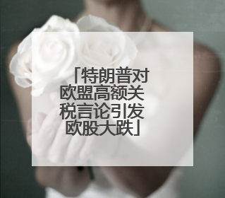 特朗普对欧盟高额关税言论引发欧股大跌