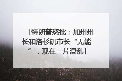 特朗普怒批：加州州长和洛杉矶市长“无能”，现在一片混乱