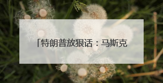 特朗普放狠话：马斯克若资助民主党对抗共和党 将面临严重后果