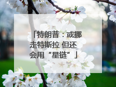 特朗普：或挪走特斯拉 但还会用“星链”
