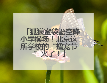 狐獴蜜袋鼯空降小学操场！北京这所学校的“撸宠节”火了！
