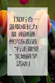 知行合一汲取成长力量 南通通州兴东街道“行走课堂”实地研学活动