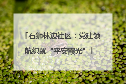石狮林边社区：党建领航织就“平安霞光”
