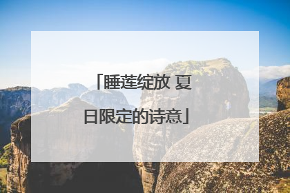 睡莲绽放 夏日限定的诗意