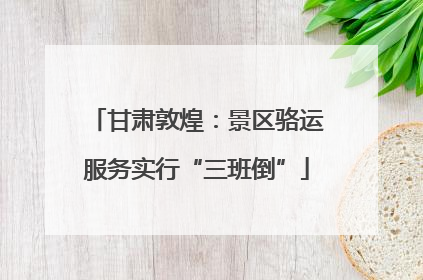 甘肃敦煌：景区骆运服务实行“三班倒”