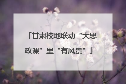 甘肃校地联动“大思政课”里“有风景”