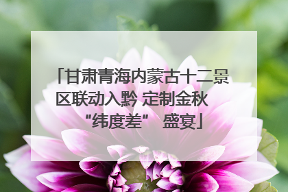 甘肃青海内蒙古十二景区联动入黔 定制金秋 “纬度差” 盛宴