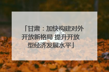 甘肃：加快构建对外开放新格局 提升开放型经济发展水平