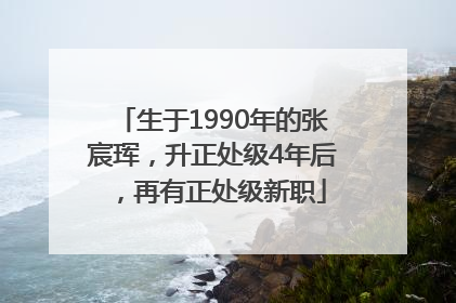 生于1990年的张宸珲，升正处级4年后，再有正处级新职