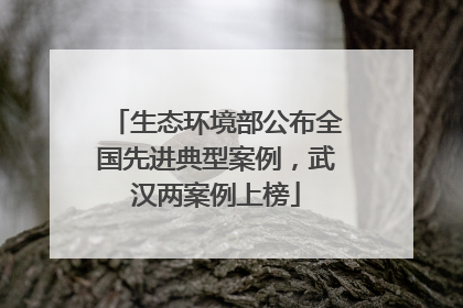 生态环境部公布全国先进典型案例，武汉两案例上榜