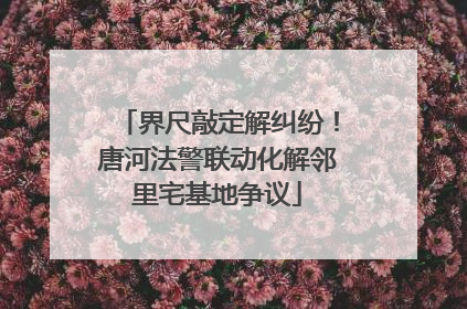 界尺敲定解纠纷！唐河法警联动化解邻里宅基地争议