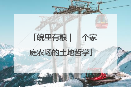 皖里有粮｜一个家庭农场的土地哲学