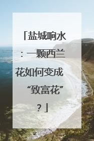 盐城响水：一颗西兰花如何变成“致富花”？