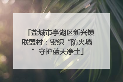 盐城市亭湖区新兴镇联盟村：密织“防火墙”守护蓝天净土
