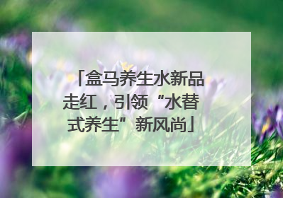 盒马养生水新品走红，引领“水替式养生”新风尚