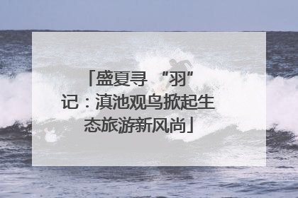 盛夏寻 “羽” 记：滇池观鸟掀起生态旅游新风尚