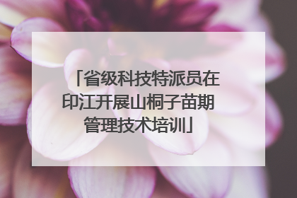 省级科技特派员在印江开展山桐子苗期管理技术培训