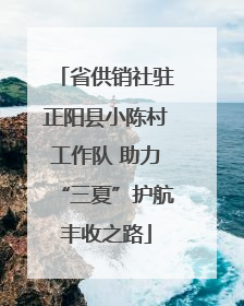 省供销社驻正阳县小陈村工作队 助力“三夏”护航丰收之路