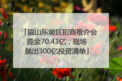 眉山东坡区招商推介会揽金70.43亿，现场抛出300亿投资清单
