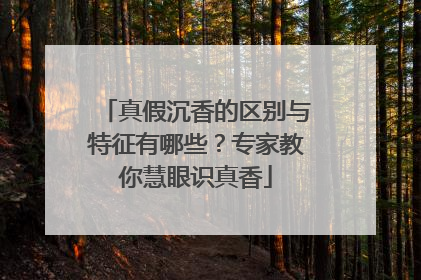 真假沉香的区别与特征有哪些？专家教你慧眼识真香
