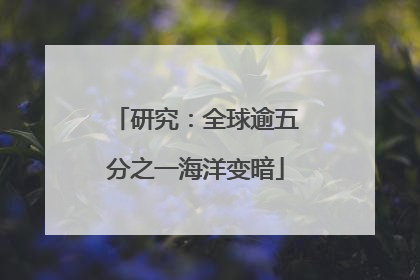 研究：全球逾五分之一海洋变暗