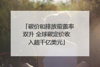 碳价和排放覆盖率双升 全球碳定价收入超千亿美元
