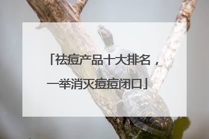 祛痘产品十大排名，一举消灭痘痘闭口