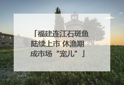福建连江石斑鱼陆续上市 休渔期成市场“宠儿”