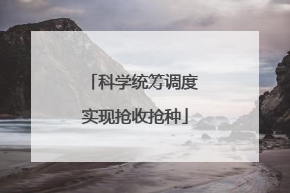 科学统筹调度实现抢收抢种