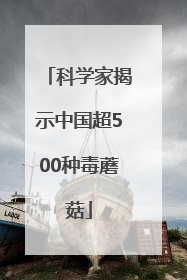 科学家揭示中国超500种毒蘑菇