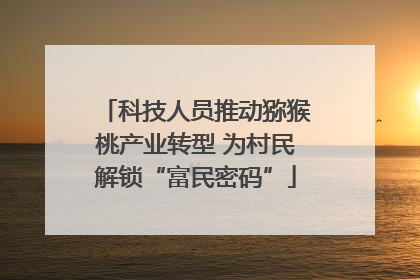 科技人员推动猕猴桃产业转型 为村民解锁“富民密码”