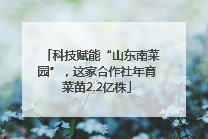 科技赋能“山东南菜园”，这家合作社年育菜苗2.2亿株